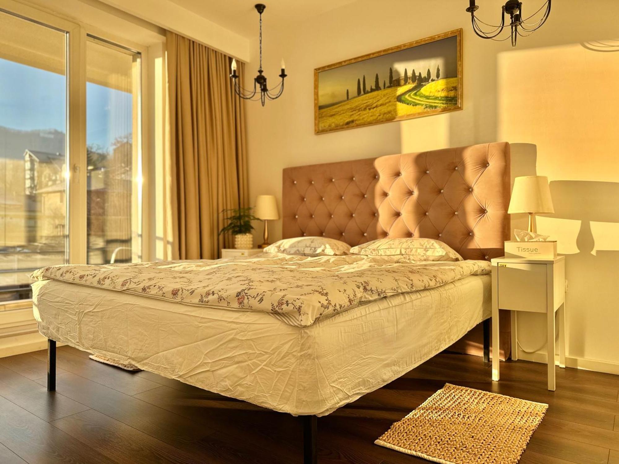 Premium * Brasov